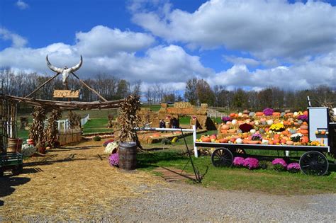 Farm at walnut creek - Located near the heart of Amish Country in Ohio, The Farm at Walnut Creek hosts over 500 animals, comprised of species from six of the seven continents. Our menagerie includes …